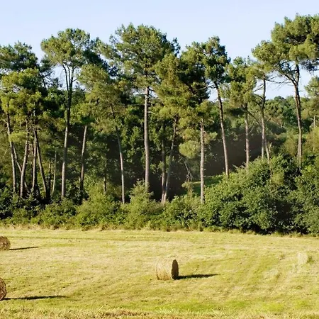 Сasa de vacaciones Albret