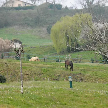 Сasa de vacaciones Albret Mugron