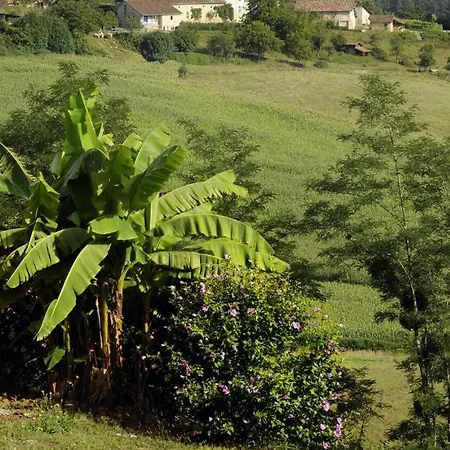 Albret * Mugron